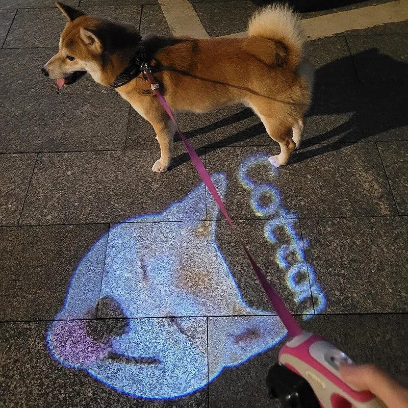 Pet photo and name projected onto the pavement; supplier demonstration